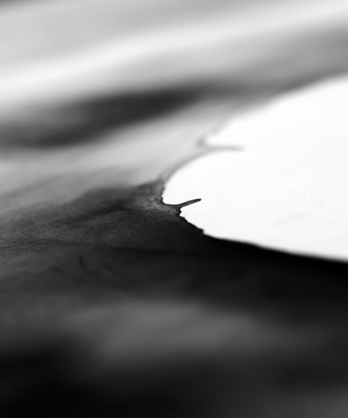 Emergence